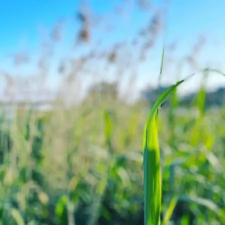 Haus Seetreppe * Göhren-Lebbin