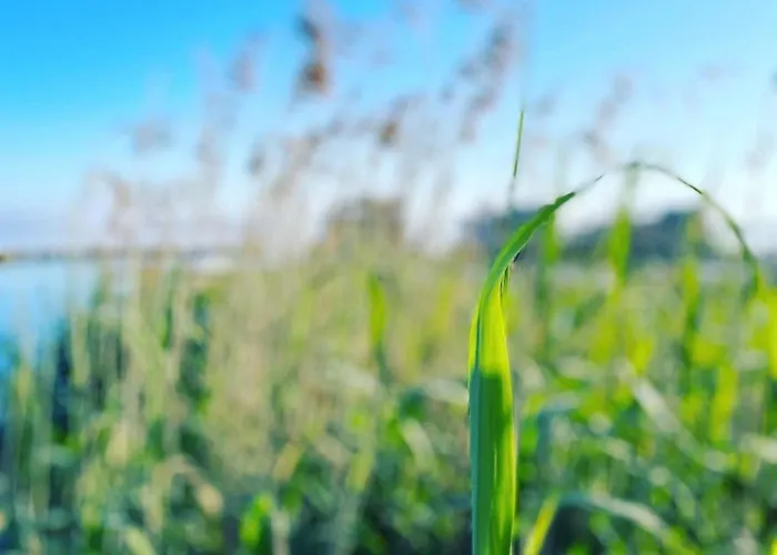Haus Seetreppe * Göhren-Lebbin